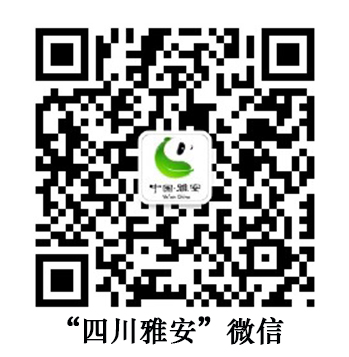 微信二維碼